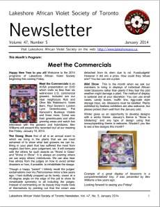 Lakeshore AVS Newsletter