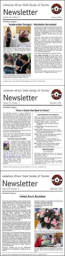 LAVS News Recent